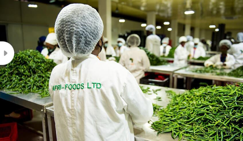 SAKINA USENGIMANA – CEO of Afri-foods Ltd “Overcoming failures in setting up her agri-business venture” - African Leaders Magazine 