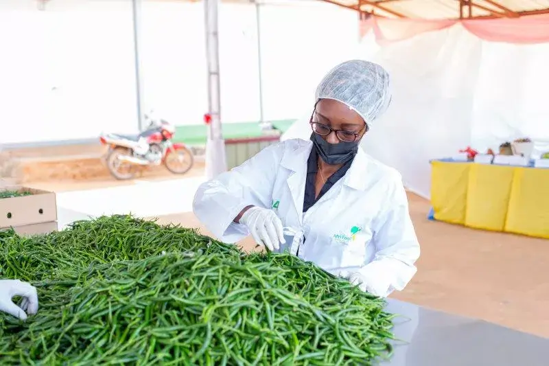 SAKINA USENGIMANA – CEO of Afri-foods Ltd “Overcoming failures in setting up her agri-business venture” - African Leaders Magazine 