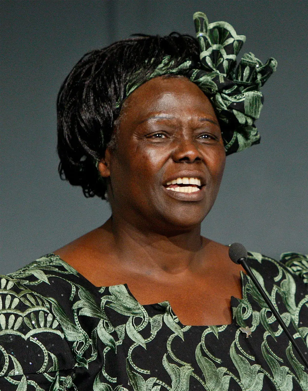 WANGARI MUTA MAATHAI (1940-2011) – The Most Prominent Environmental Activist in Africa and The 2004 Recipient Of The Alfred Nobel Peace Prize - African Leaders Magazine 