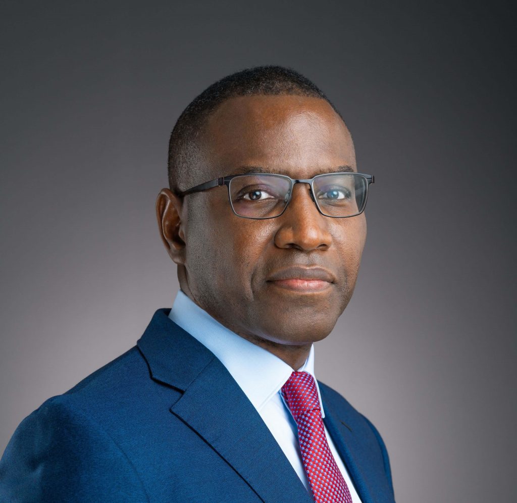 AMADOU HOTT – Newly Appointed AfDB Special Envoy to the Alliance for Green Infrastructure in Africa - African Leaders Magazine